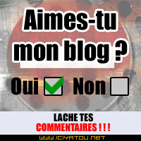 aimes-tu mon blog
